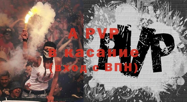 экстази Богданович