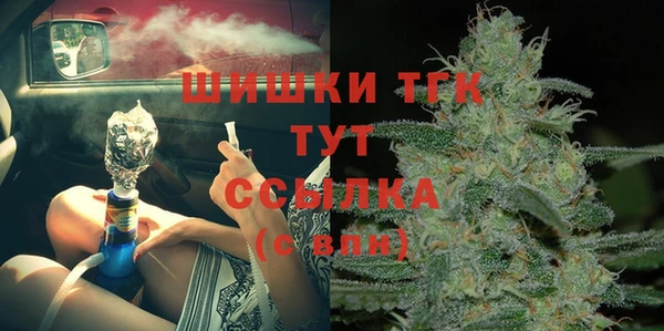 амф Богородицк