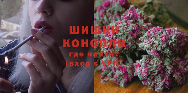 амф Богородицк